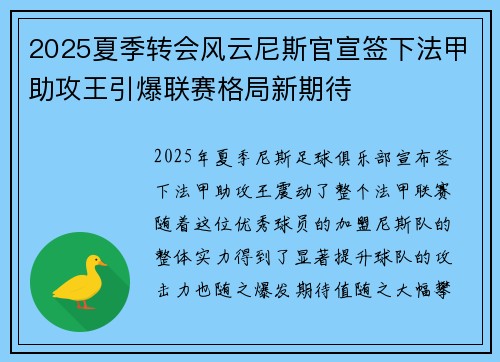 2025夏季转会风云尼斯官宣签下法甲助攻王引爆联赛格局新期待