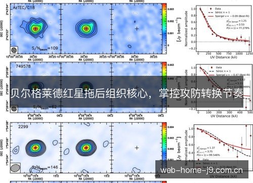 贝尔格莱德红星拖后组织核心，掌控攻防转换节奏